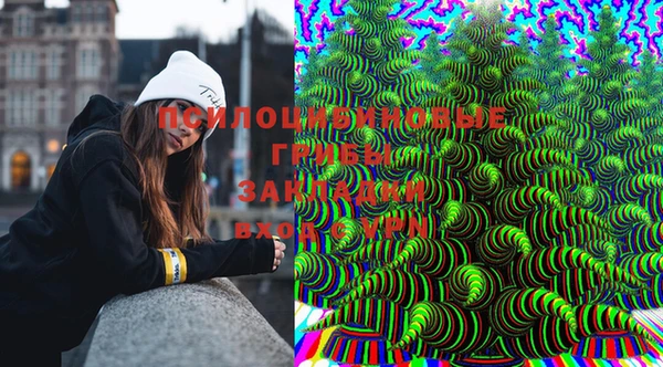 прущие крисы Алексеевка