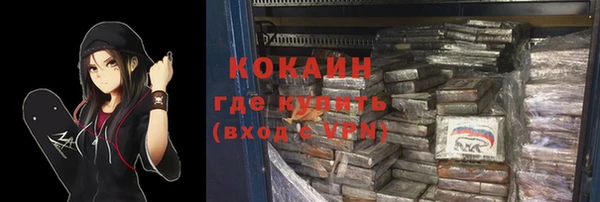 соль ск Алзамай