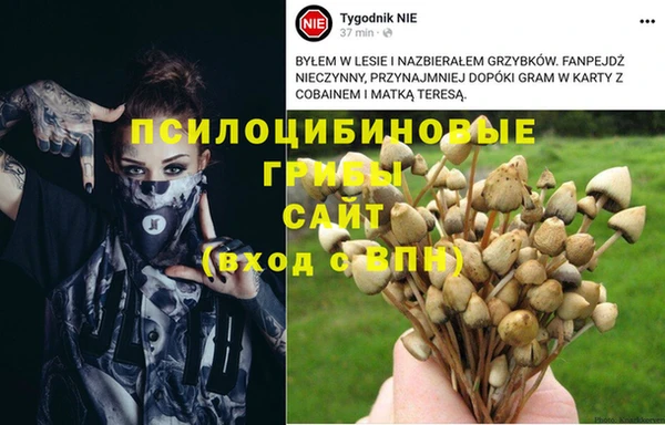 соль ск Алзамай