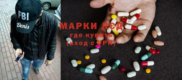прущие грибы Абаза