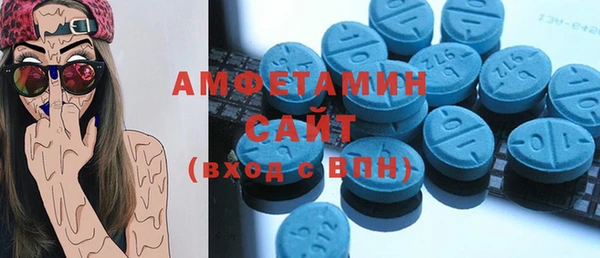 прущие грибы Абаза