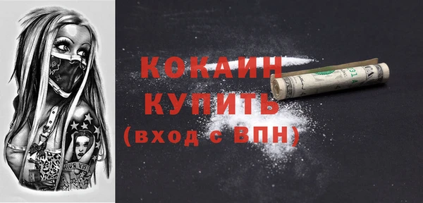 прущие грибы Абаза