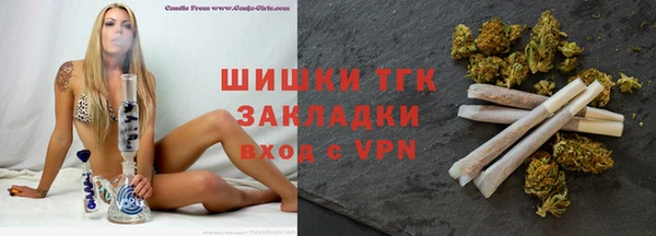 прущие грибы Абаза